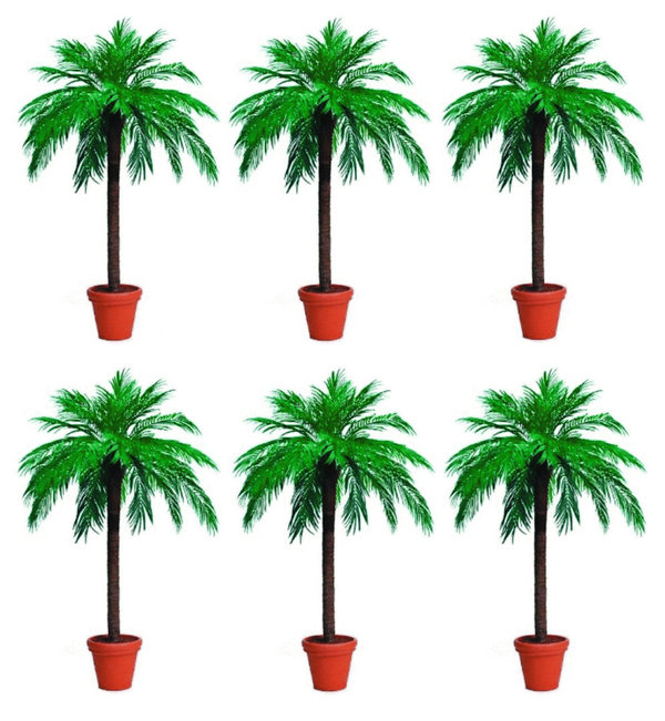 Palmbomen luxe 6 stuks - huren