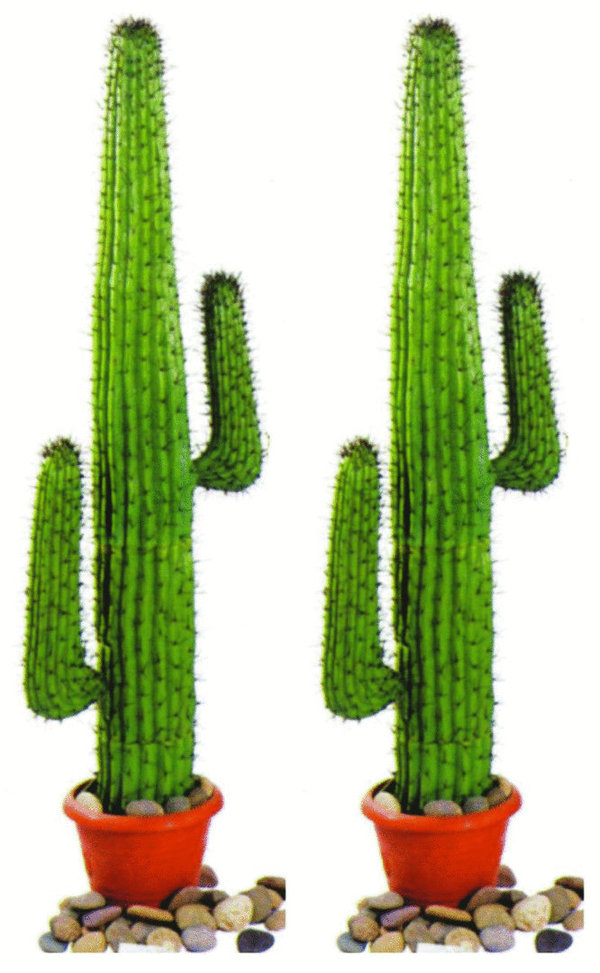 Decoratie Western / cowboy cactussen (2 stuks) - huren